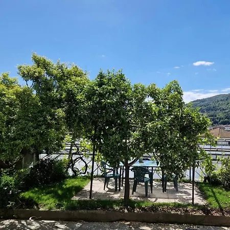 Apartment La Strelizia