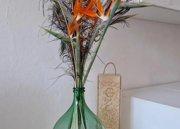 Apartamento La Strelizia