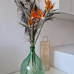 Appartement La Strelizia