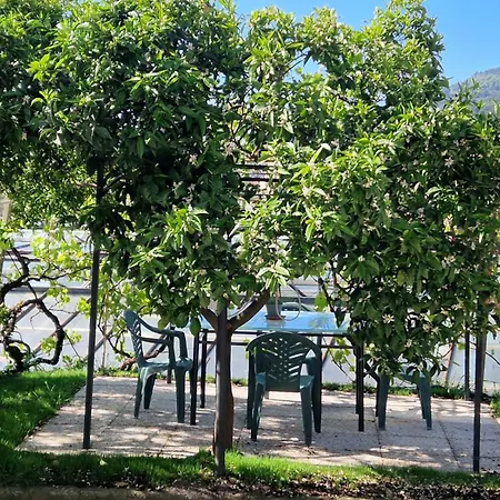 Appartement La Strelizia *