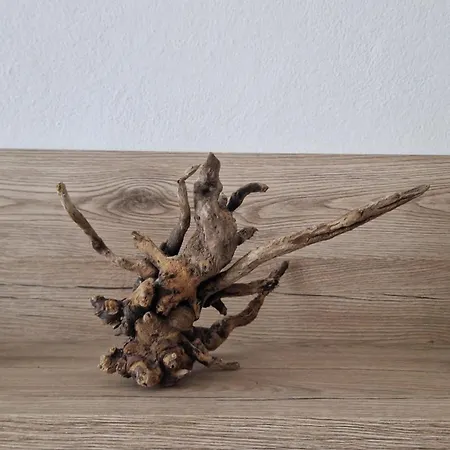 Apartment La Strelizia Andora