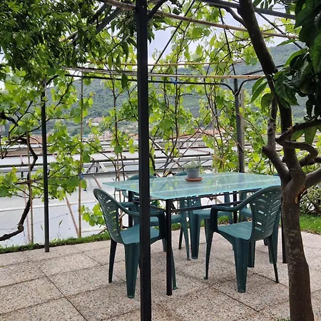 Apartment La Strelizia