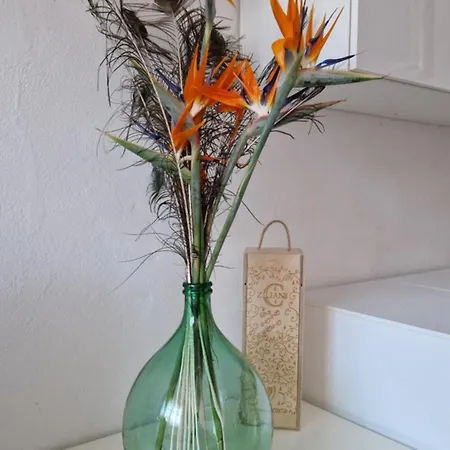 Apartment La Strelizia