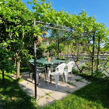 Apartment La Strelizia