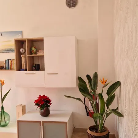 Appartement La Strelizia Marina dʼAndora