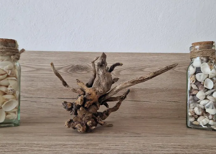 Apartamento La Strelizia Marina dʼAndora